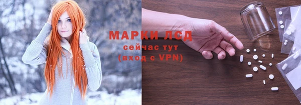 прущие грибы Балабаново