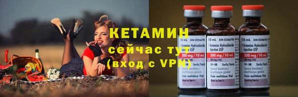 прущие грибы Балабаново