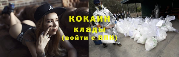 прущие грибы Балабаново