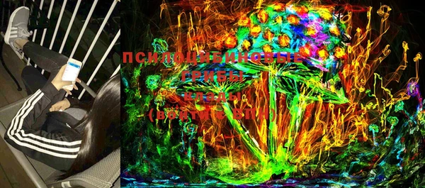 прущие грибы Балабаново