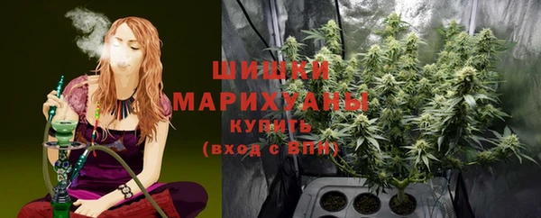 прущие грибы Балабаново