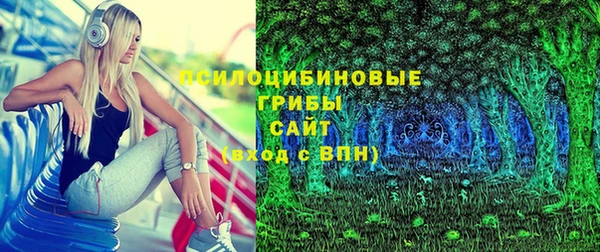 прущие грибы Балабаново