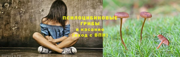 скорость Баксан
