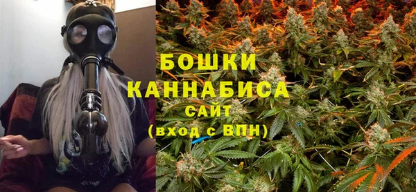 прущие грибы Балабаново